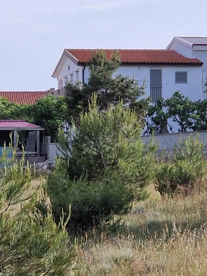 Apartments Ema Vir Croatia
